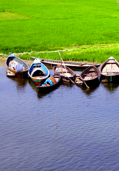 Nine different sized low-passenger boats docked on the edge of a green grass field
