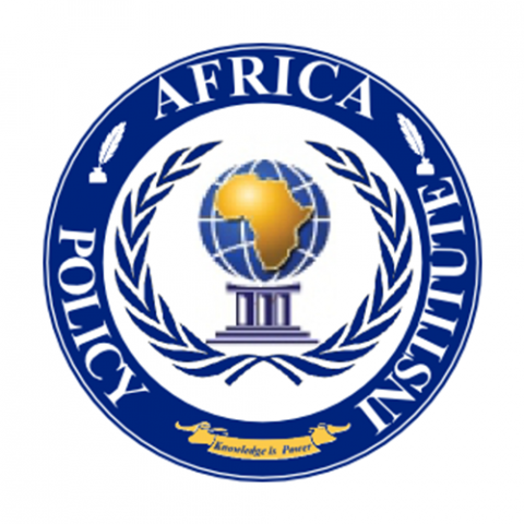 Africa Policy Institute